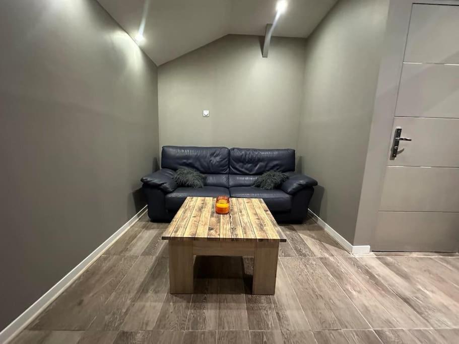 Centre-ville, Vileurbane Apartment *